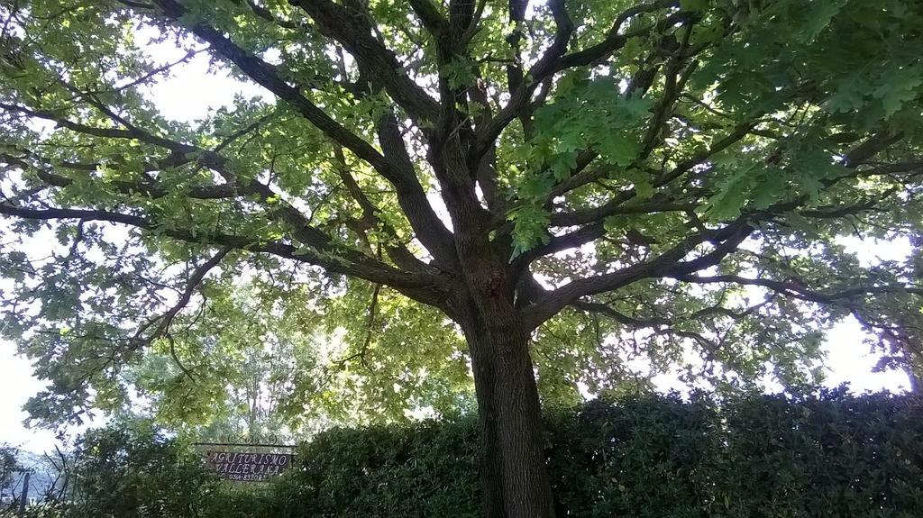 Bauernhof Vallerana